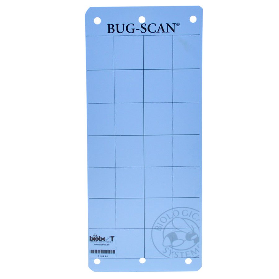 Bug-Scanb