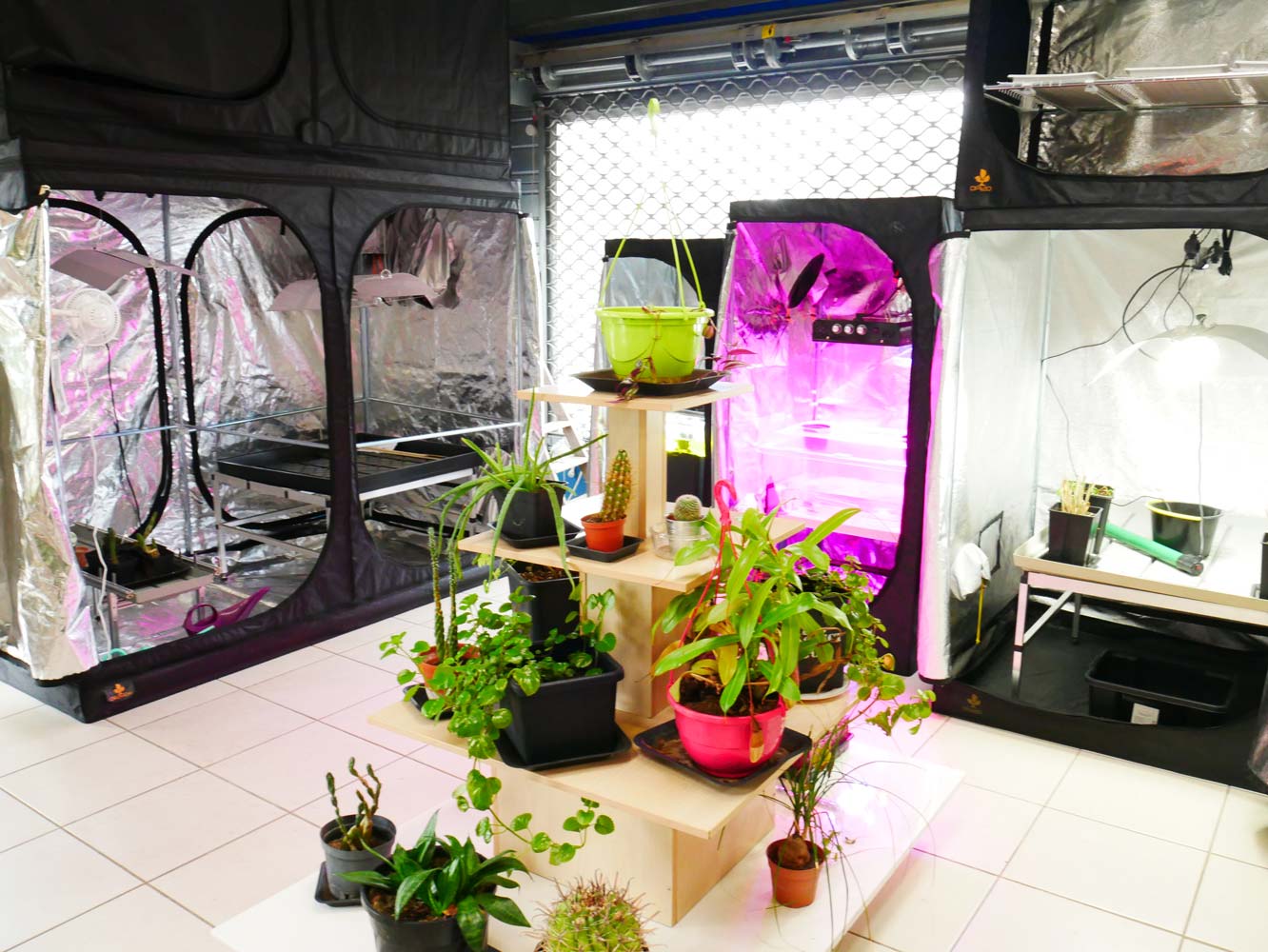 Jardinerie bourg en bresse